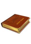 32-768x1090.png